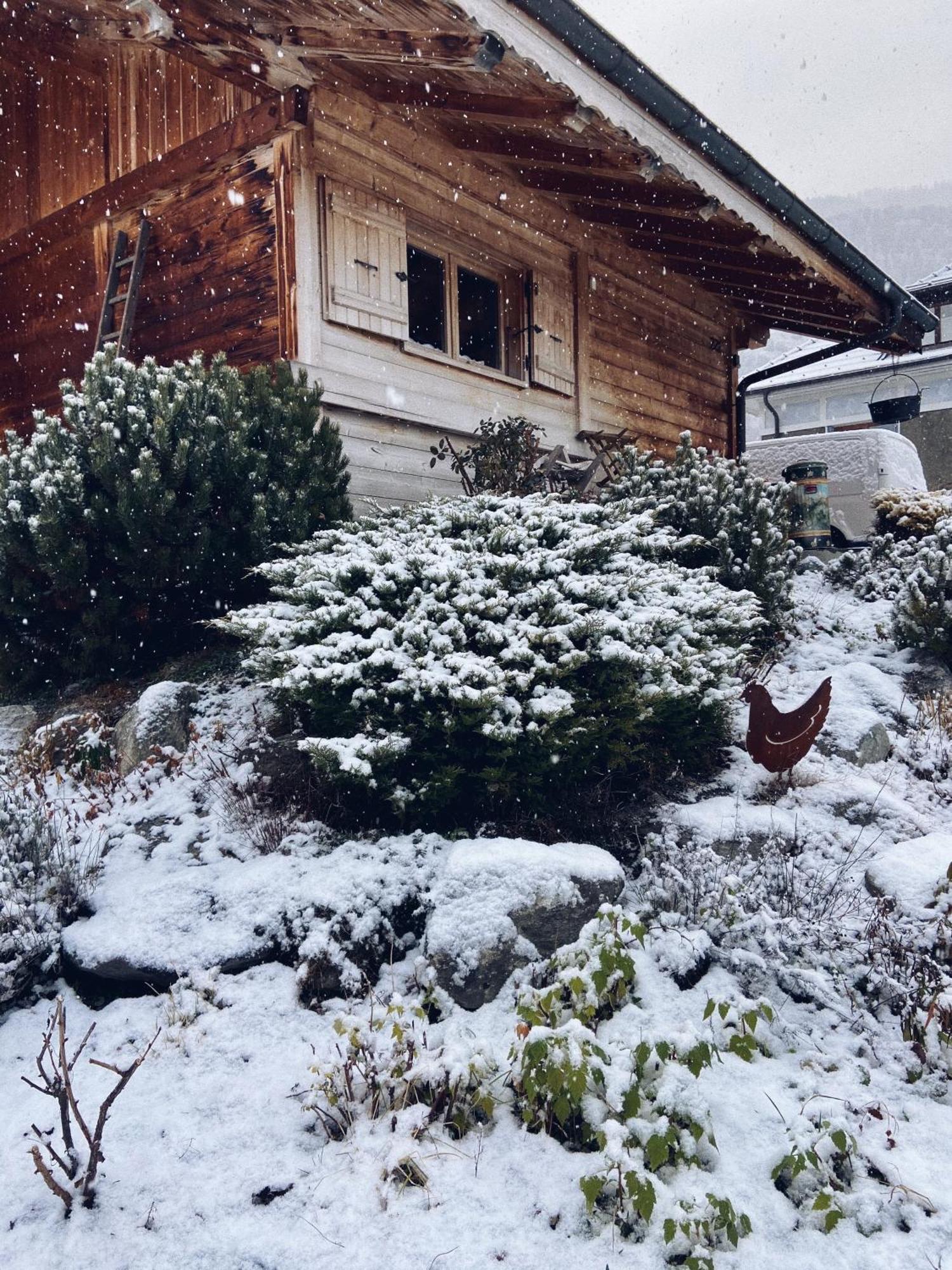 Grand Chalet A La Montagne Bourg-Saint-Maurice Exterior photo
